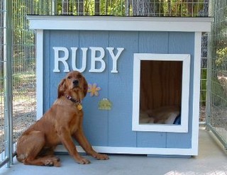 Ruby - Minnesota